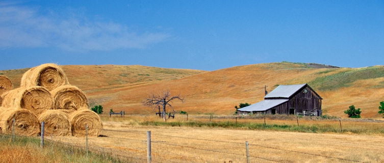 A remote farm in South Dakota