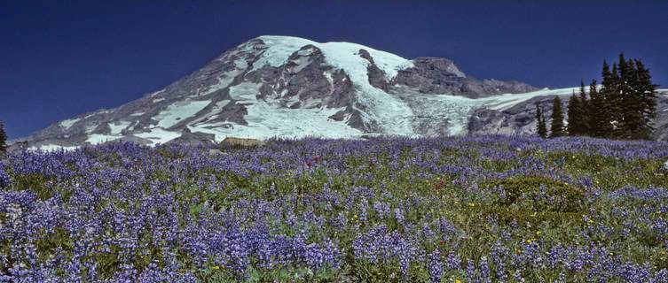 Mount Rainier National Park, Washington State