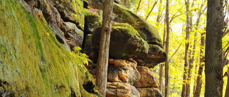 Rock ledge faces, Ohio