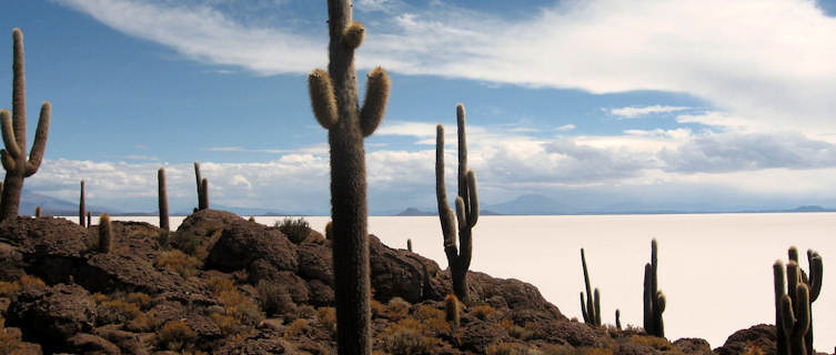 Salar de Uyuni, Andes, Argentina