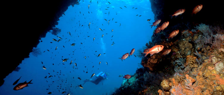Scottshead Pinacle, a perfect diving spot near Dominica
