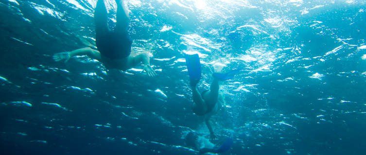 Scuba Diving in Samoa