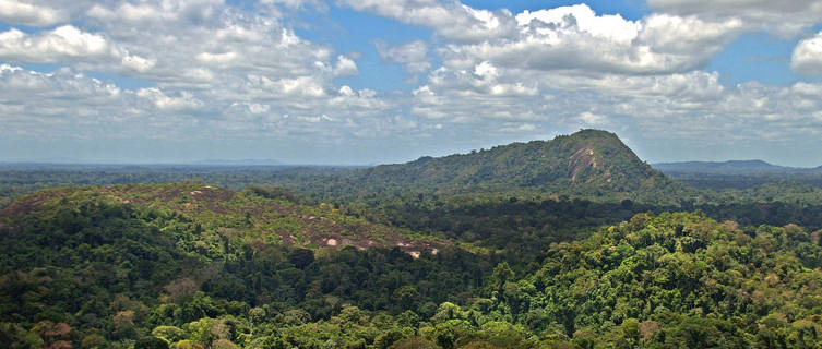 View of the Amazon jungle from the summit of Mt Volzburg in Suriname